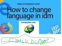 Change Language In IDM